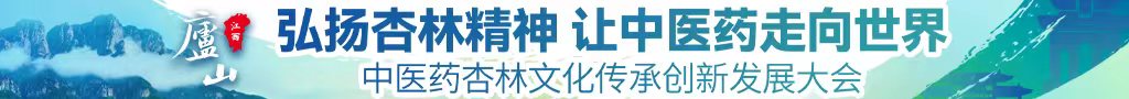 免费观看日逼大中医药杏林文化传承创新发展大会